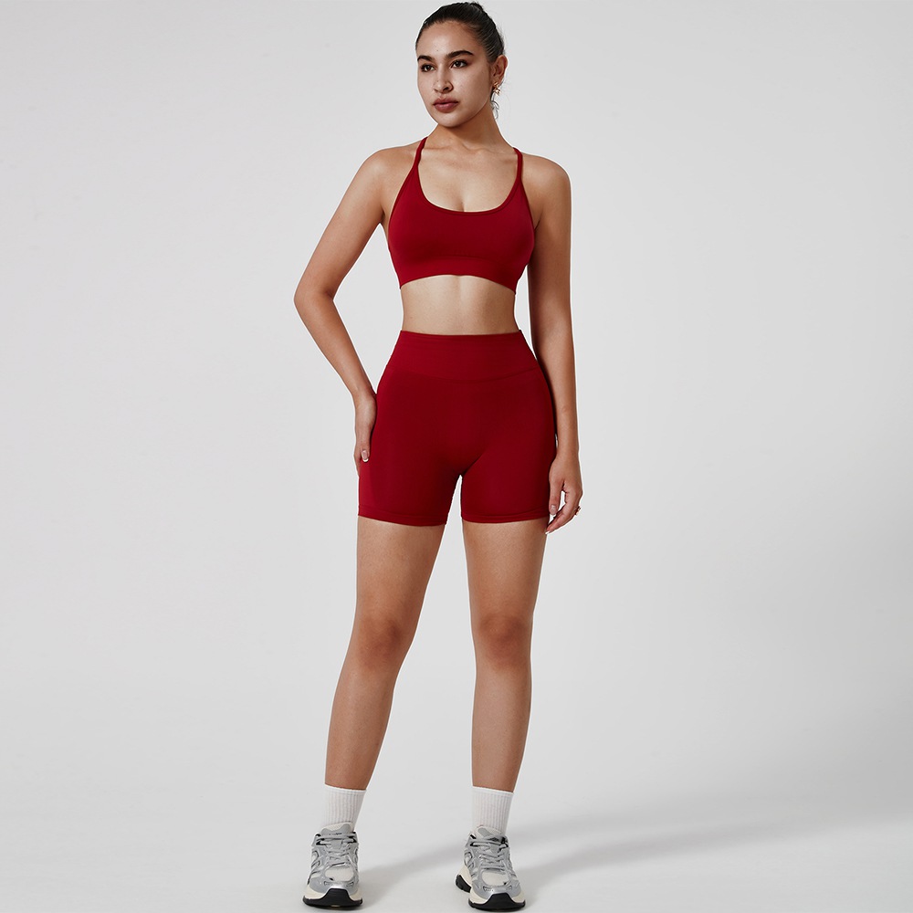 Yoga Outfit Seamless Tank Top & Shorts Set Model ZR-055
